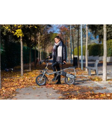Triciclo Eléctrico ICe Q10 48V - 2