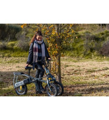 Triciclo Eléctrico ICe Q10 48V - 3