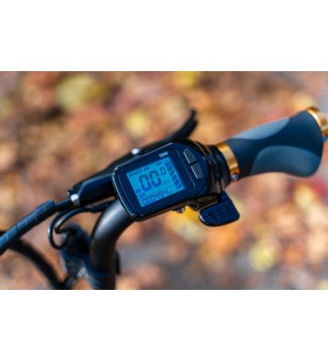 Triciclo Eléctrico ICe Q10 48V - 5