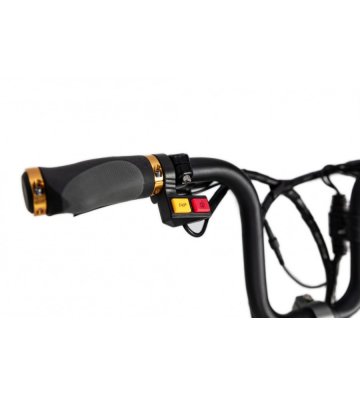 Triciclo Eléctrico ICe Q10 48V - 9