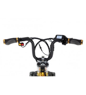 Triciclo Eléctrico ICe Q10 48V - 11