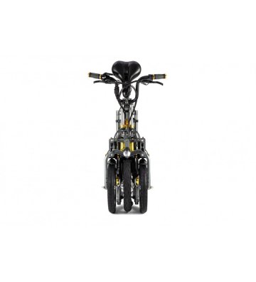 Triciclo Eléctrico ICe Q10 48V - 17