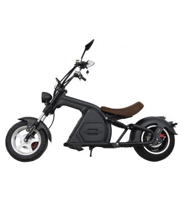 SCOOTER ELÉCTRICO E-CUSTOM 49E 2000W/30AH - 8