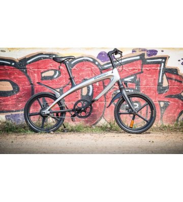 Bicicleta Eléctrica Alfa - 2