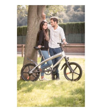 Bicicleta Eléctrica Alfa - 4
