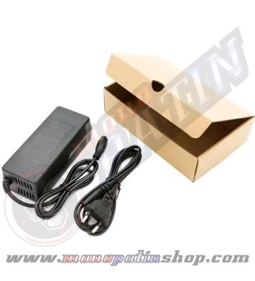 Cargador 48V 2A conector GX16 - 1