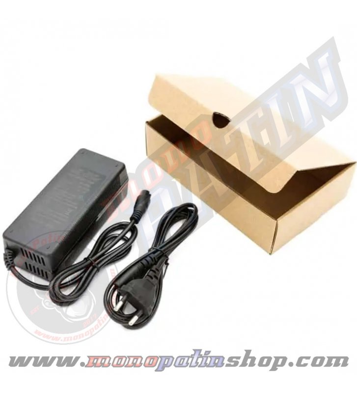 Cargador 48V 2A conector GX16 - 1