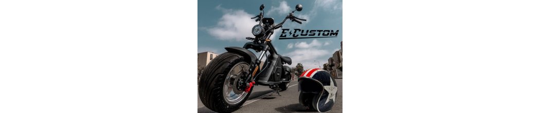 E-CUSTOM